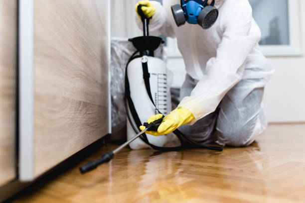 Best Affordable Pest Control Services  in Everson, WA