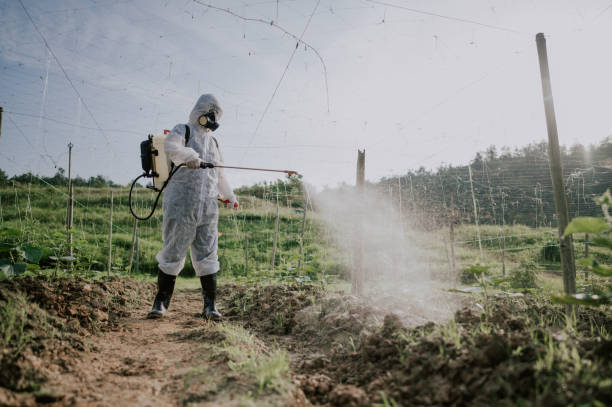 Professional Pest Control in Everson, WA