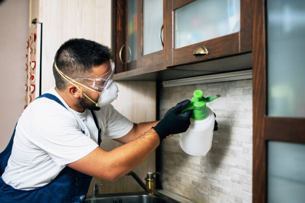 Best Pest Control Cost  in Everson, WA