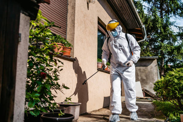 Best Best Pest Control Companies  in Everson, WA